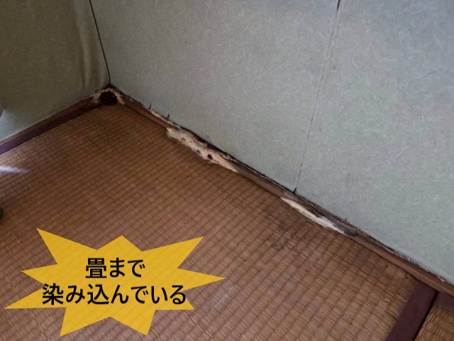 雨漏り　畳まで染み込んでいる